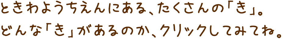 ときわようちえんにある、たくさんの「き」。どんな「き」があるのか、クリックしてみてね。